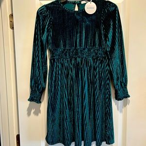 Arshiner girls long sleeve green velvet crew neck MIDI dress.